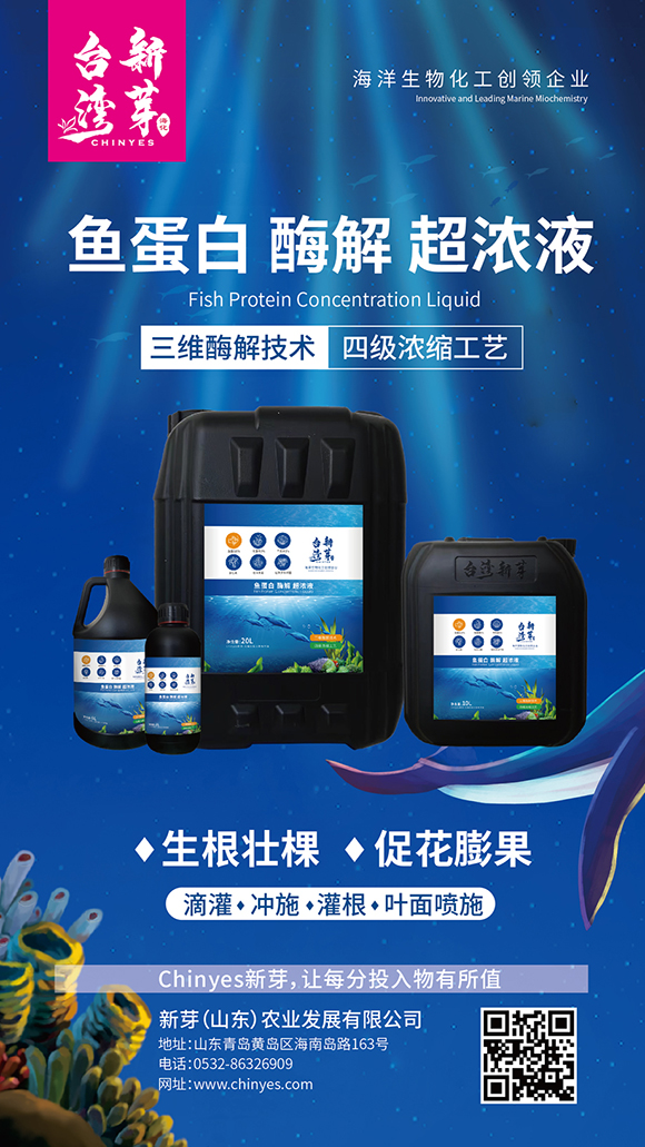 �~����ø�ⳬ��Һ-�_����ѿ4