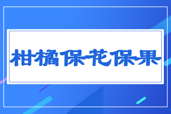 ���ٱ�������