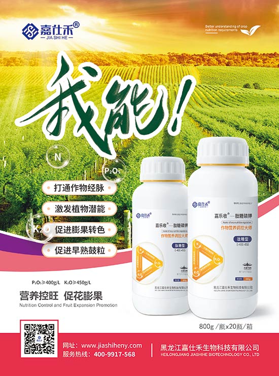 ���˺̆��(y��)��������⛣�-210x285mm-����