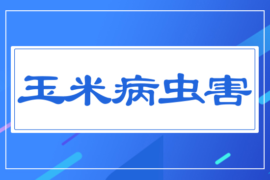 ���ײ��x��