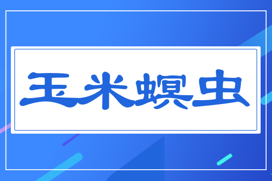 �������x(ch��ng)