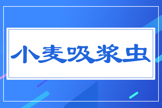 С�����{�x