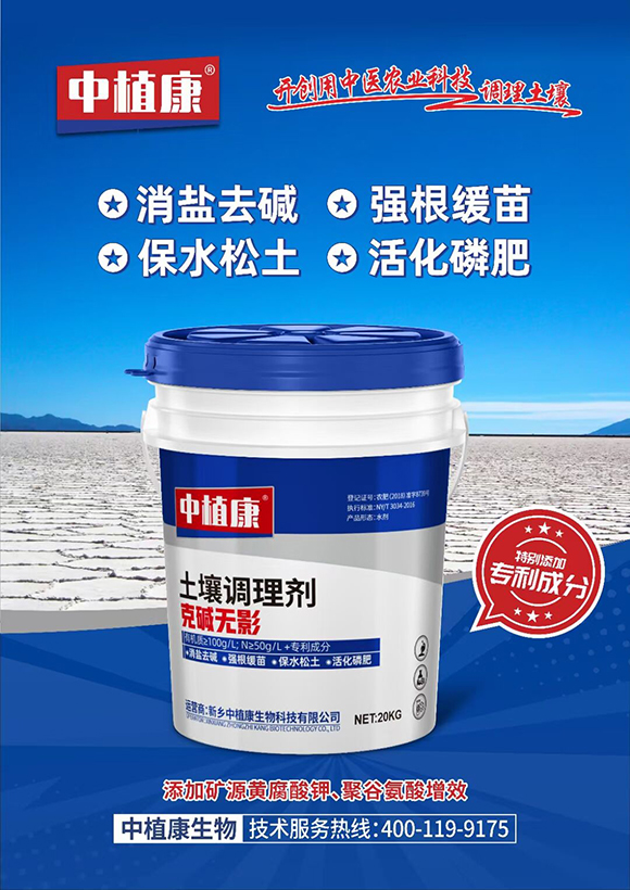 �����{�턩-�ˉA�oӰ-��ֲ��