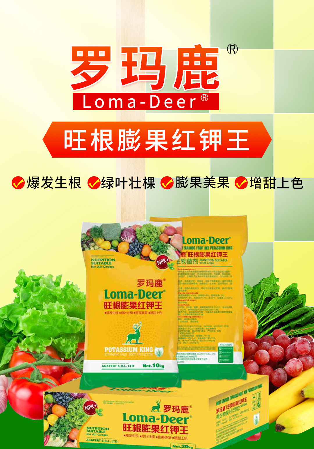 ���u���L