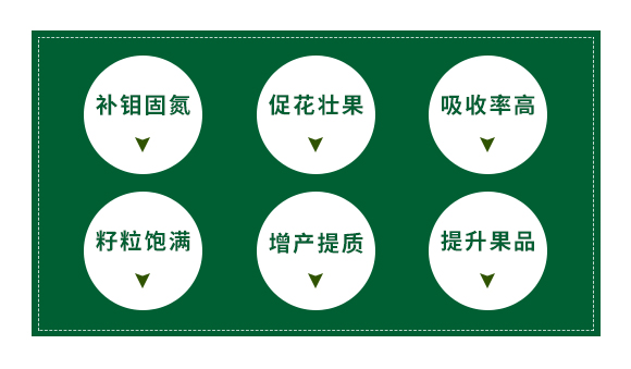 �ӱ���Ⱥ�r(n��ng)�I(y��)�Ƽ����޹�˾_02