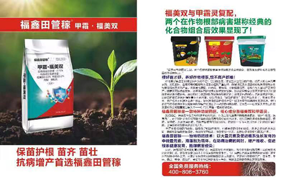 ΢�ňDƬ_20240102084627