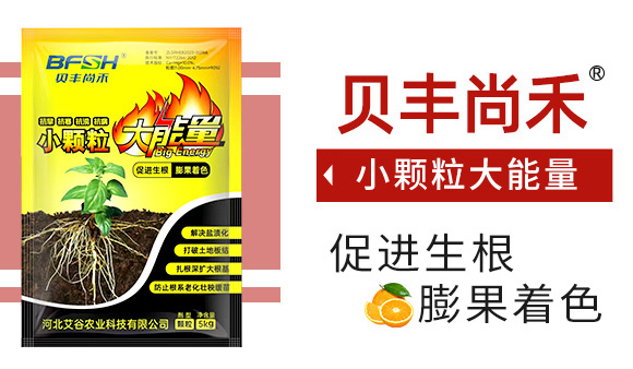 С�w��������-�����r(n��ng)�I(y��)_03