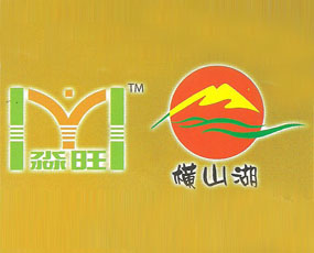 �ӱ��`�ۺ�r���Q���޹�˾���ʘI(y��)��