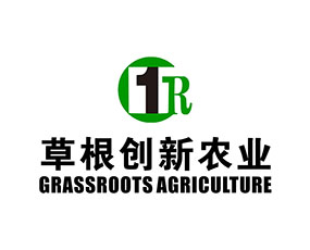 �����ݸ���(chu��ng)���r�I(y��)�Ƽ����޹�˾