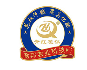 �½��հ����r(n��ng)����Ƽ����޹�˾