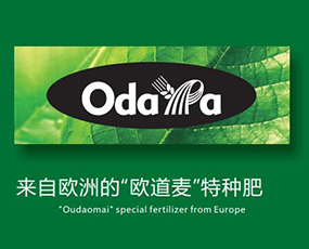 �W�������Ϻ����M�����Q�����޹�˾