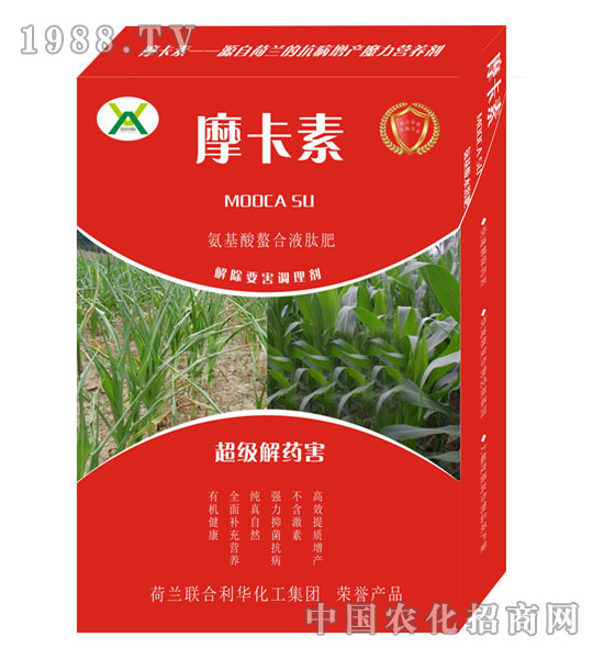 ������ˎ������������Һ�ķ�-Ħ����-��о���H