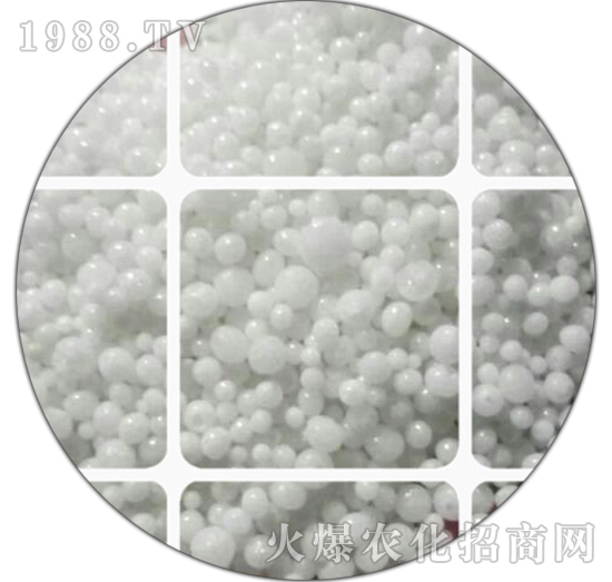 ���������w��-������