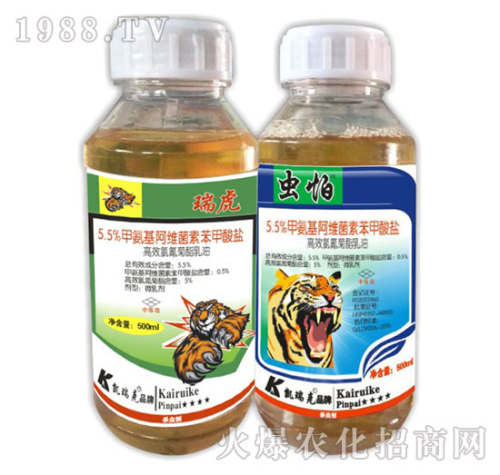 5.5%�װ������S���ر������}-��+�x��-�P���