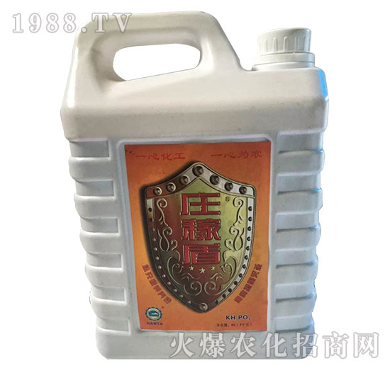 �f�ڶ�-һ�Ļ���