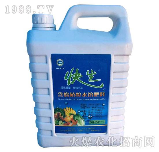 ����ֲ��ˮ�ܷ���-����-һ�Ļ���