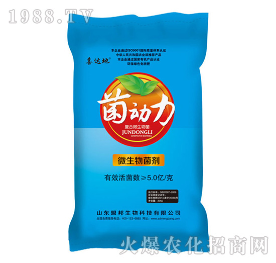 ������΢�������-�˰�����