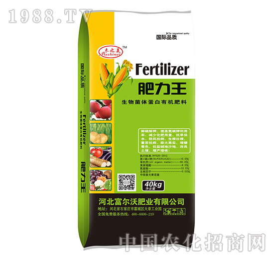 ������w�����ЙC����40kg-������-������