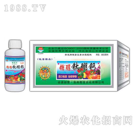 200g�Ǵ�����}-�挚�r��