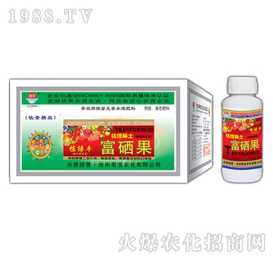 200g������-�挚�r��