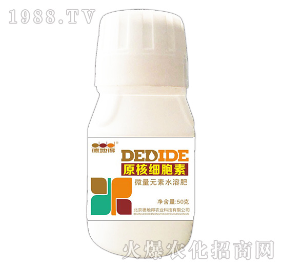 ԭ�˼�(x��)����-�µص�