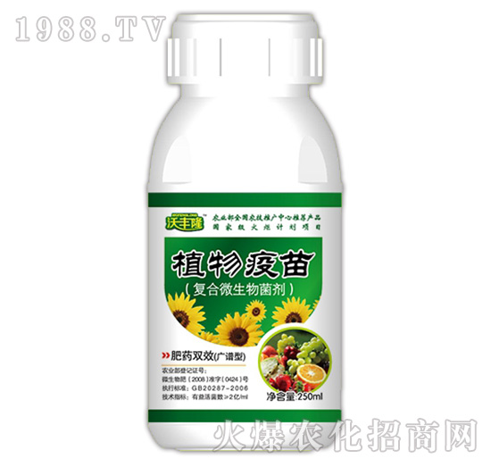 ֲ�����磨�V�V�ͣ�-���S¡-��