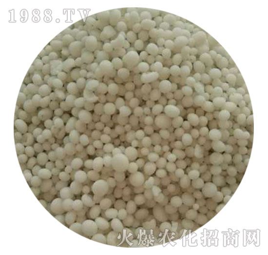 ������⛏�(f��)�Ϸ���25-10-10-���������w����-ֲ������