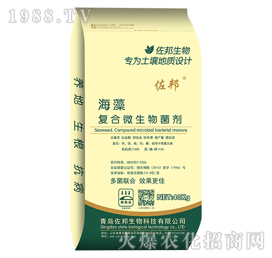 ����ͺ�΢�������-����