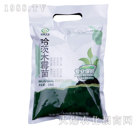 ����ľù��-�G�]����