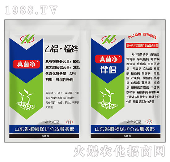 50%���X���i�\-�����+��H-�o(h��)�r(n��ng)