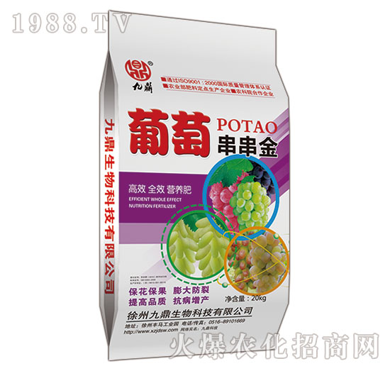 ���Ѵ�����-�Ŷ�-�ذ�Ȫ