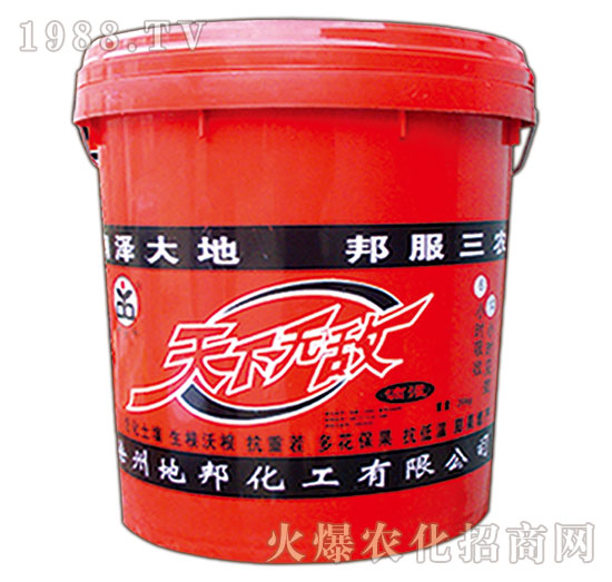 ���o��-�ذ�Ȫ