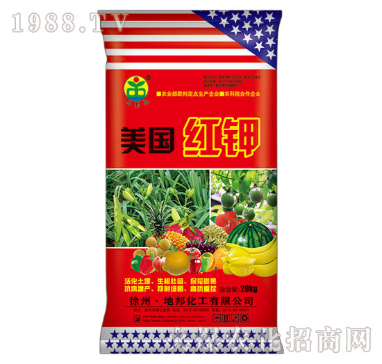 ����(gu��)�t�-�ذ�Ȫ