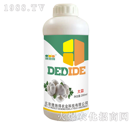 ���⌣��-�µص�