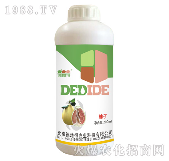 ���ӌ���-�µص�