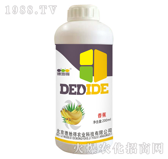 �㽶����-�µص�