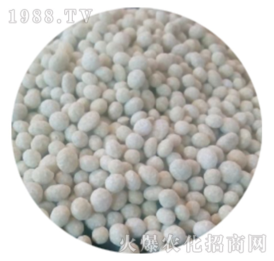 ��(f��)�����