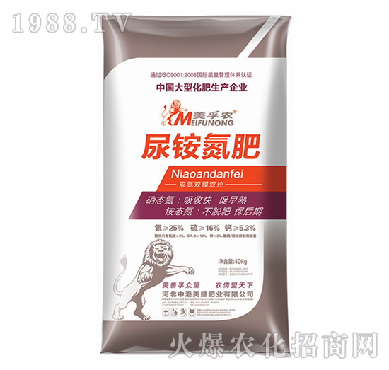 �����r���@����