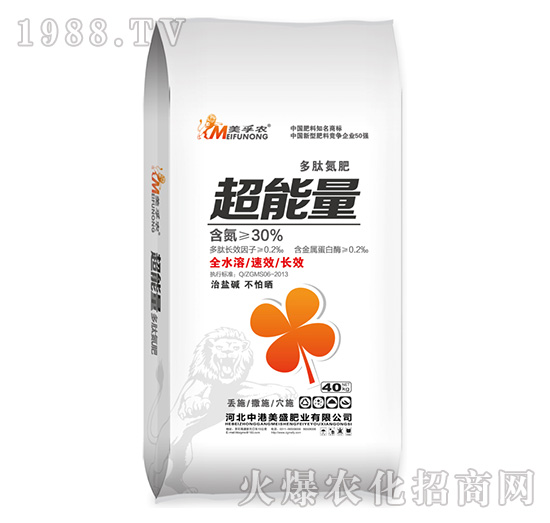 ���ĵ��ʳ�����