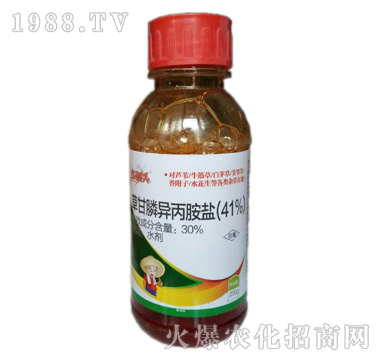 41%�ݸ�좮������}-�t�z�^-�Z������