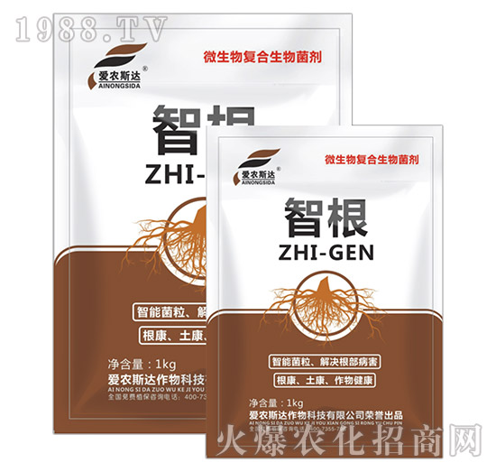 ΢�����(f��)���������-�Ǹ�-���r(n��ng)˹�_(d��)