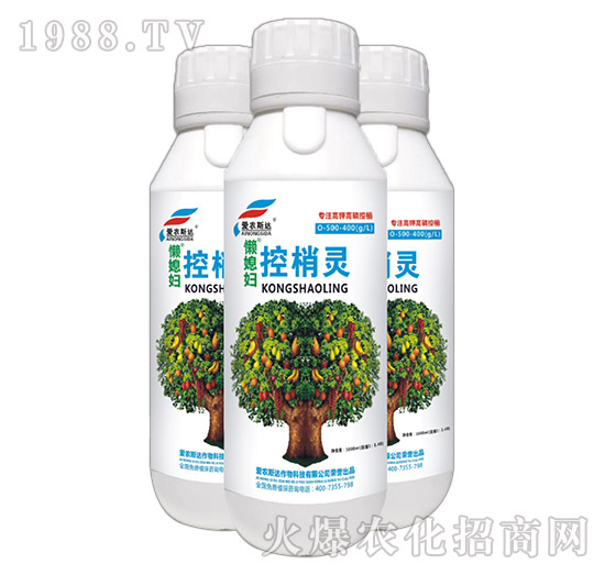 ��⛸��׿����`-��ϱ�D-��(��i)�r(n��ng)˹�_(d��)