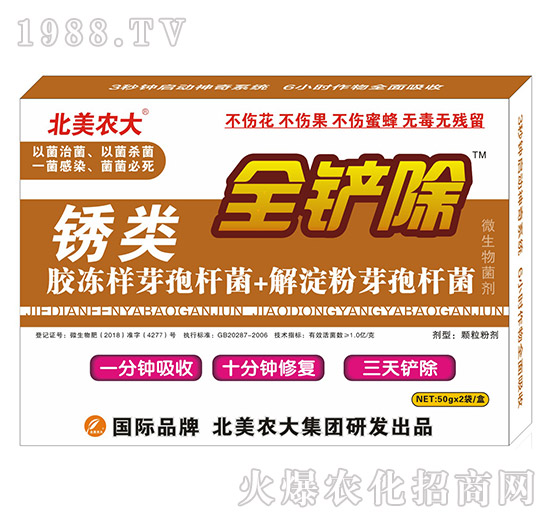 �P�(l��i)-ȫ�P��-�����r(n��ng)��