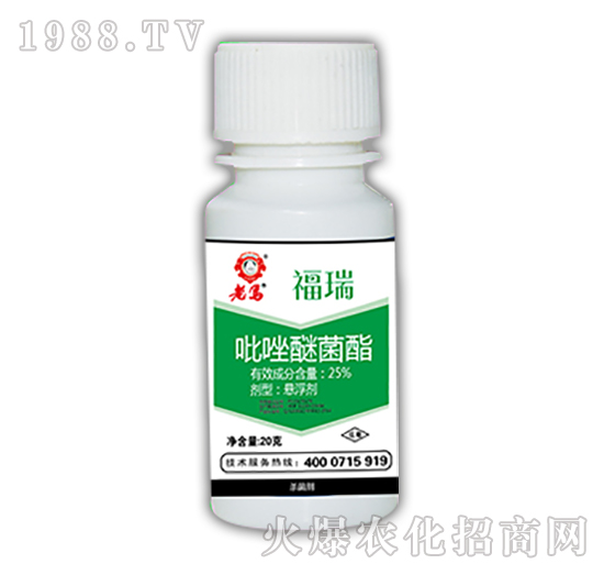 �����Ѿ���-���R����-�����r�I(y��)