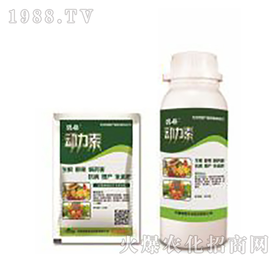 ��(d��ng)����-�̸�-�ɭ�r(n��ng)�I(y��)