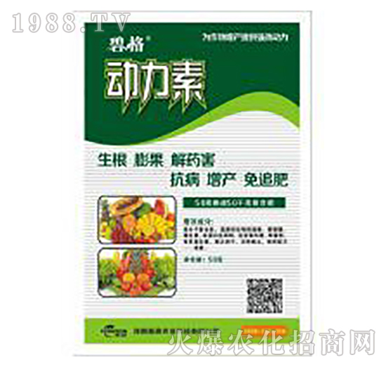 50�˄�����-�̸�-�ɭ�r(n��ng)�I(y��)