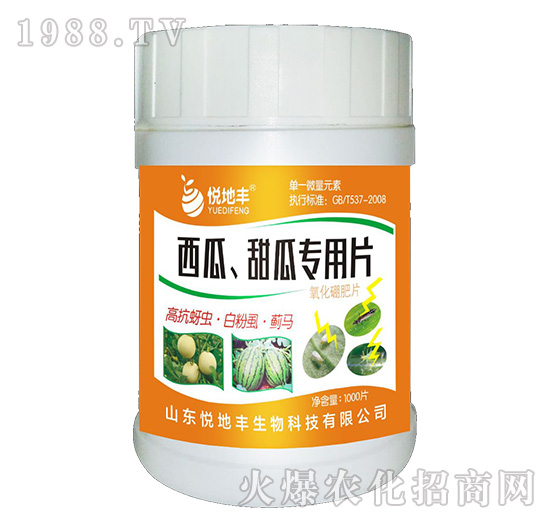 ���ϡ���ό���Ƭ��һ��һƬ��-�����S