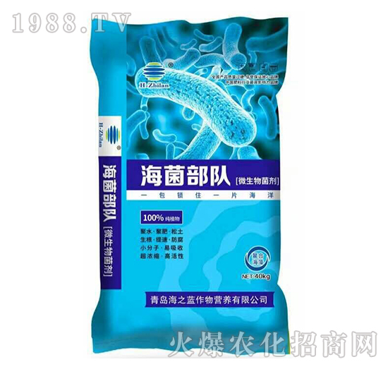 ΢�������-�������-��֮�{