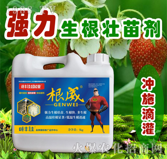 �����������焩-����-�~�S�ѳ�����