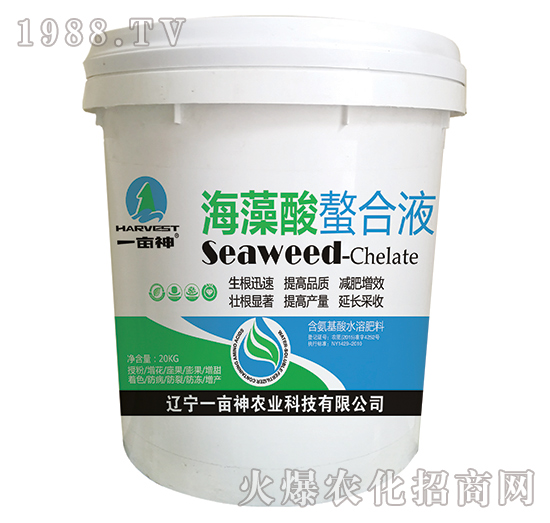 ����������Һ-һ����